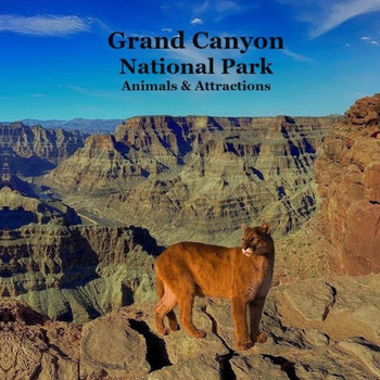 Grand Canyon Park Animals and Attractions Kids Book : Great Way for Kids to See the Grand Canyon National Park