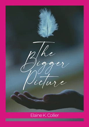 The Bigger Picture - 9781736738931