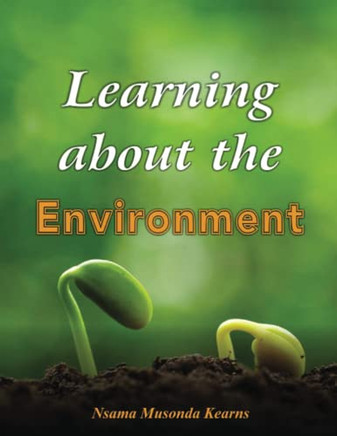 Learning About The Environment