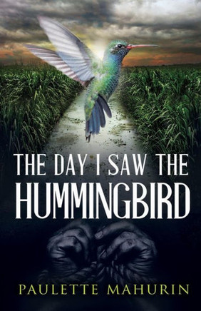 The Day I Saw The Hummingbird: A Novel