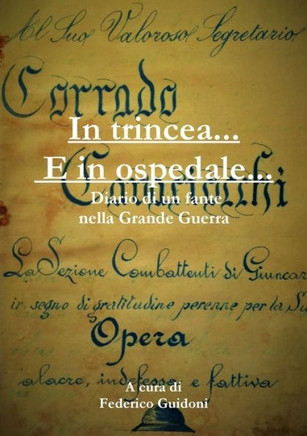In trincea e in ospedale - Diario di un fante nella Grande Guerra (Italian Edition)