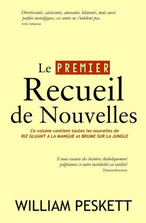 Recueil De Nouvelles Tome 1 (Nouvelles Singletons) (French Edition)