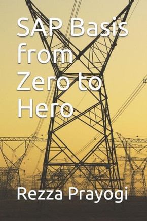 Sap Basis From Zero To Hero