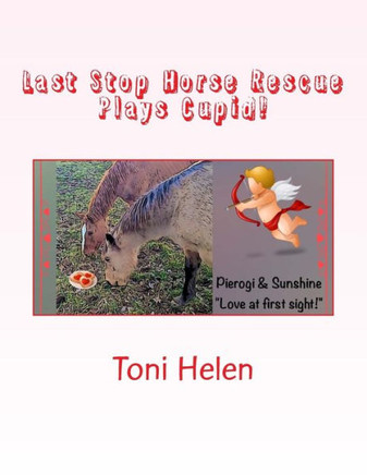 Last Stop Horse Rescue Plays Cupid! (True Stories From Last Stop Horse Rescue)