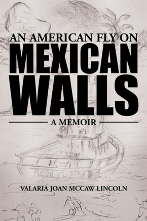 An American Fly On Mexican Walls