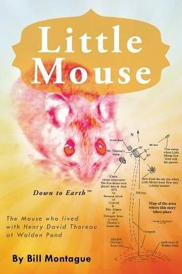 Little Mouse