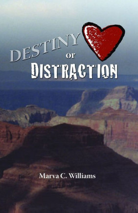 Destiny Or Distraction Destiny Or Distraction