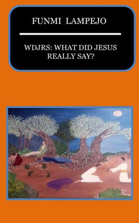 Wdjrs:What Did Jesus Really Say?
