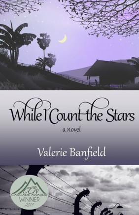 While I Count The Stars: A Novel