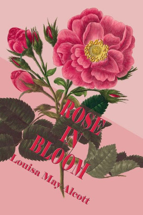 Rose In Bloom (Illustrated Edition): A Sequel To Eight Cousins