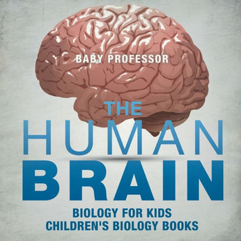 The Human Brain - Biology For Kids Children's Biology Books