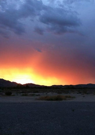 We Are The Survivors