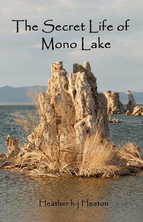 The Secret Life Of Mono Lake (Secret Life Series)