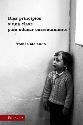 Diez Principios Y Una Clave Para Educar Correctamente (Spanish Edition)