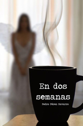 En Dos Semanas (Spanish Edition)