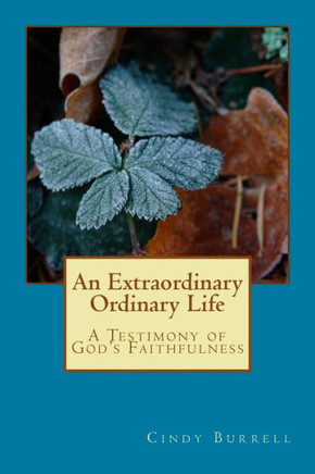 An Extraordinary Ordinary Life: A Testimony Of God'S Faithfulness