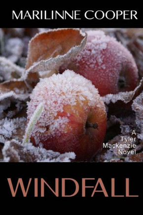 Windfall (Tyler Mackenzie Mysteries) (Volume 7)