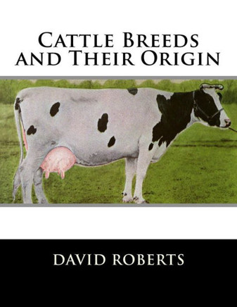 Cattle Breeds And Their Origin