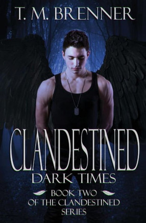 Clandestined: Dark Times (Clandestined Series) (Volume 2)