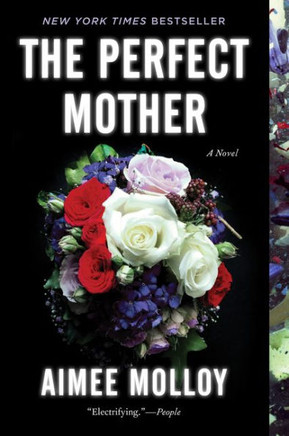 The Perfect Mother: A Novel