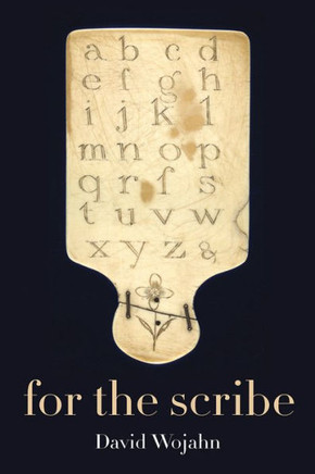 For The Scribe (Pitt Poetry Series)