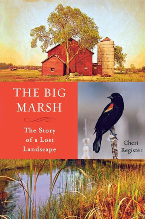 The Big Marsh: The Story Of A Lost Landscape