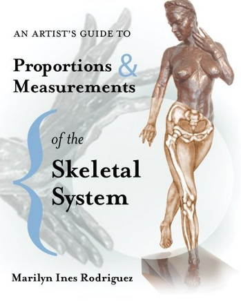 An Artist'S Guide To Proportions & Measurements Of The Skeletal System