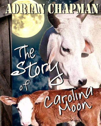 The Story Of Carolina Moon The Story Of Carolina Moon