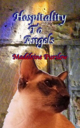 Hospitality To Angels