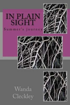 In Plain Sight - 9781985381438