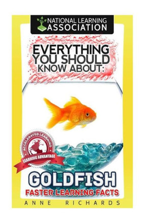 Everything You Should Know About Goldfish