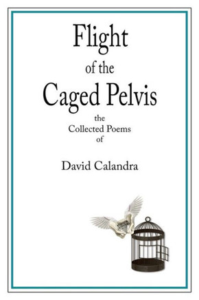 Flight Of The Caged Pelvis