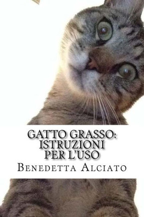 Gatto Grasso: Istruzioni Per L'Uso (Italian Edition) - 9781537475035