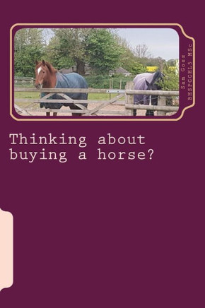 Thinking About Buying A Horse? : All Those Little Things You Need To Think About Before Becoming A Horse Owner.