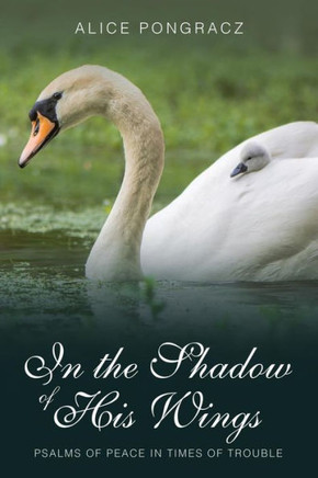 In the Shadow of His Wings: Psalms of Peace in Times of Trouble - 9781973618904