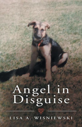 Angel in Disguise - 9781973656319
