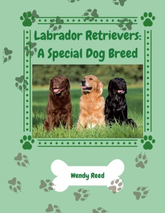 Labrador Retrievers: A Special Dog Breed