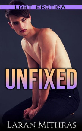 Unfixed : Lgbt Erotica