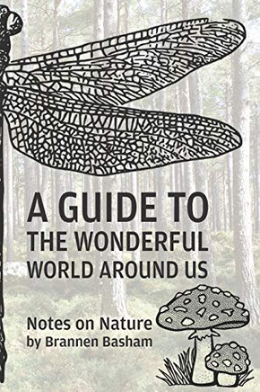 A Guide To The Wonderful World Around Us: Notes On Nature