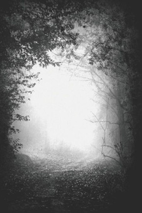 Legendes urbaines, mythes, rumeurs et racontars (Legendes urbaines et phenomenes inexpliques) (French Edition)