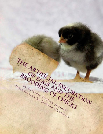The Artificial Incubation Of Eggs And The Brooding Of Chicks
