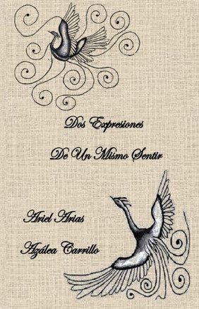 Dos Expresiones De Un Mismo Sentir (Spanish Edition)