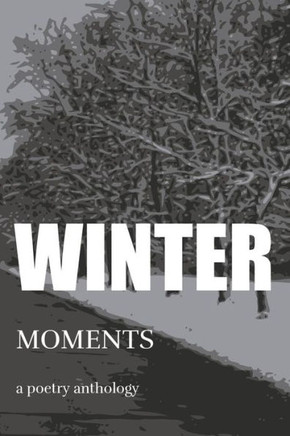 Winter Moments