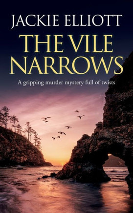 The Vile Narrows A Gripping Murder Mystery Full Of Twists (Coffin Cove Mysteries) - 9781835260579