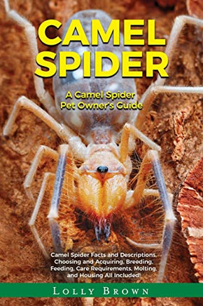 Camel Spider : A Camel Spider Pet Owner'S Guide Camel Spider : A Camel Spider Pet Owner'S Guide