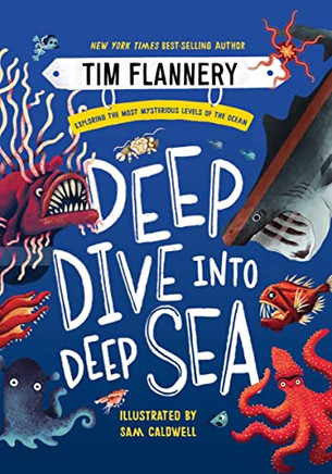 Deep Dive Into Deep Sea: Exploring The Most Mysterious Levels Of The Ocean