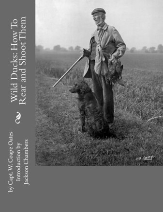 Wild Ducks: How To Rear And Shoot Them