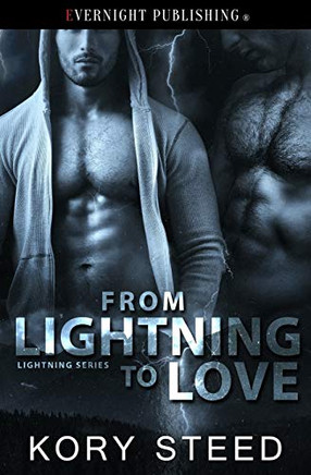 From Lightning to Love (The Lightning Series)