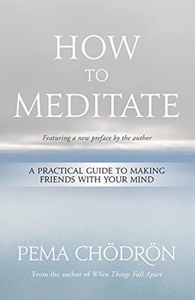 How To Meditate: A Practical Guide To Making Friends With Your Mind