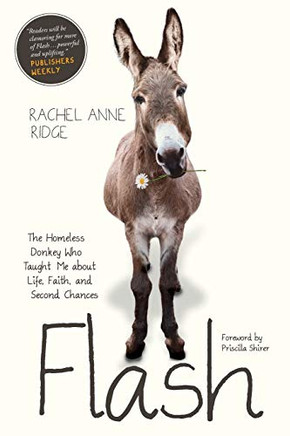 Flash: The Homeless Donkey Who Taught Me About Life, Faith, And Second Chances (Flash The Donkey)